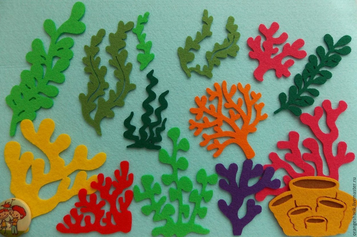 Морские водоросли Турция