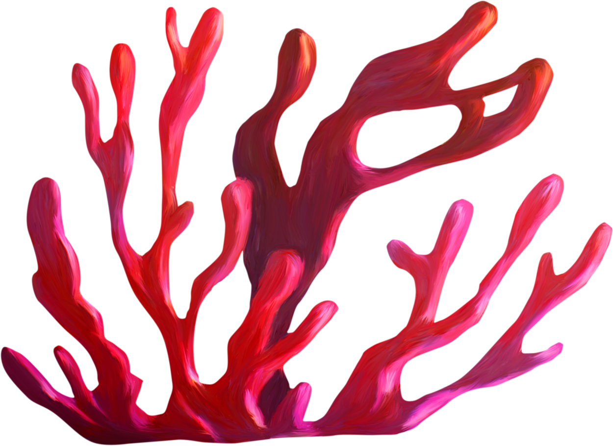 Водоросли контур