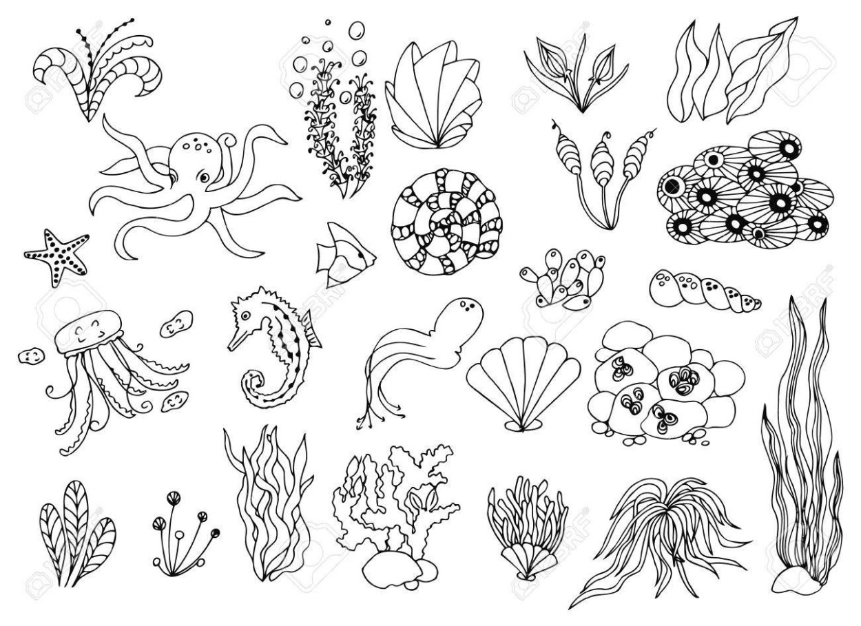 Морские водоросли иконка