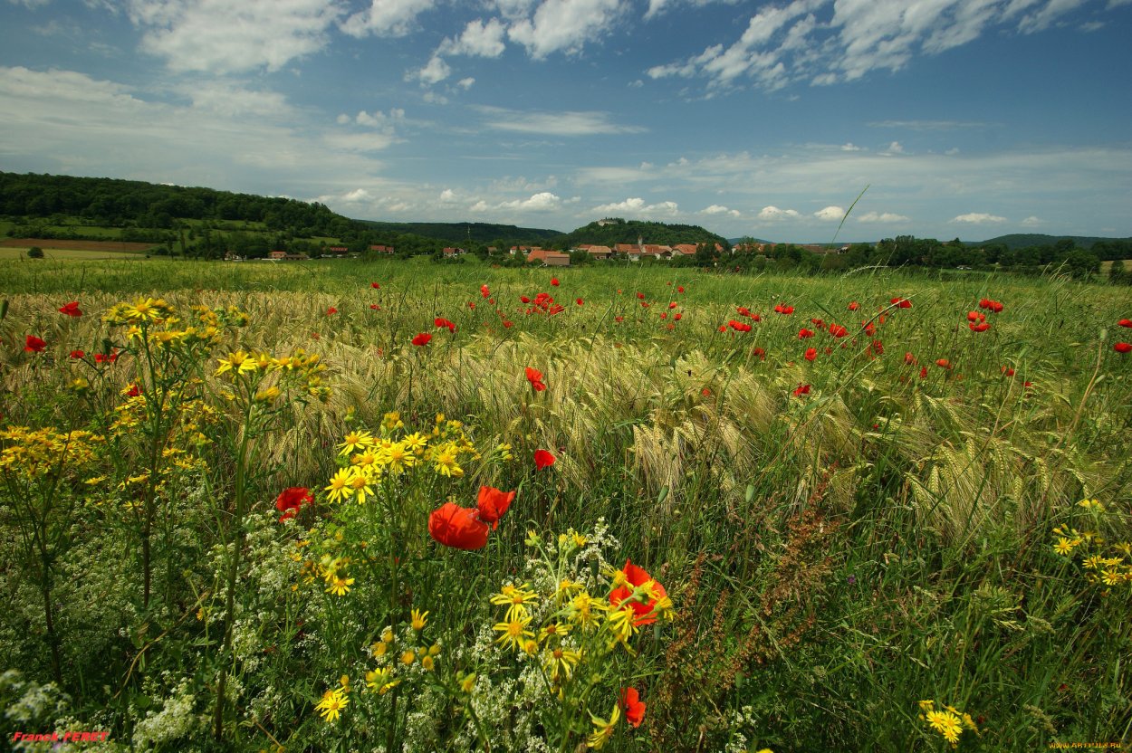 Степи Краснодарского края
