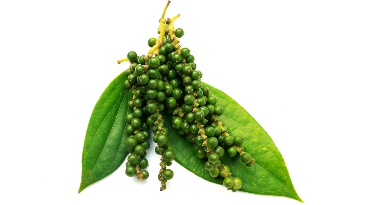 Перец душистый горошком вес.1кг Узбекистан