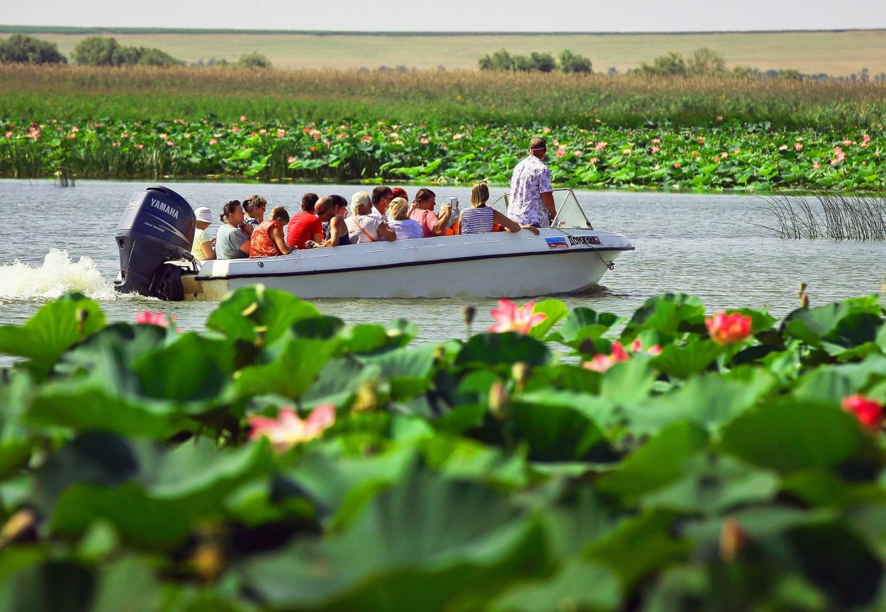 Ахтанизовский Лиман Долина лотосов