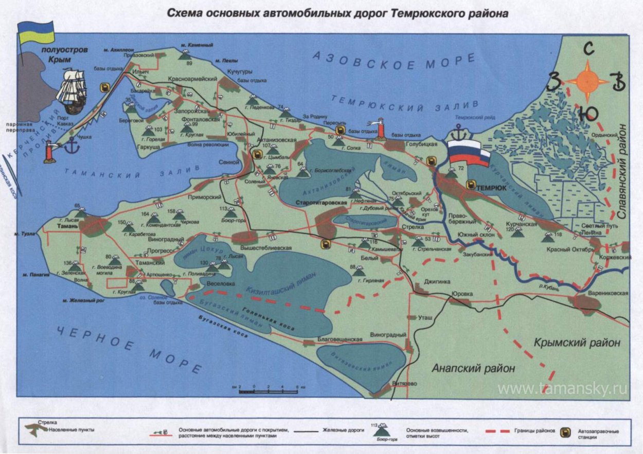 Маки крымские в степи