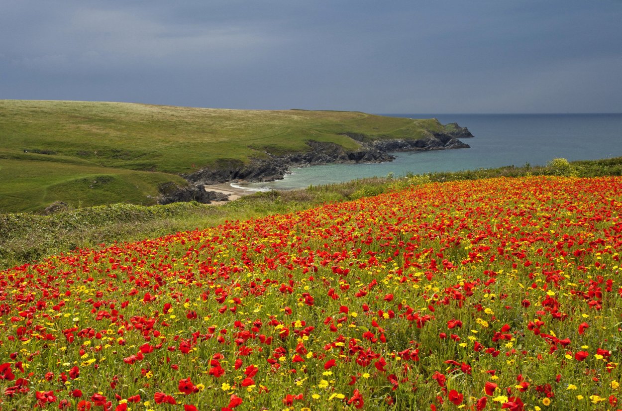 Маяк на Таманском полуострове