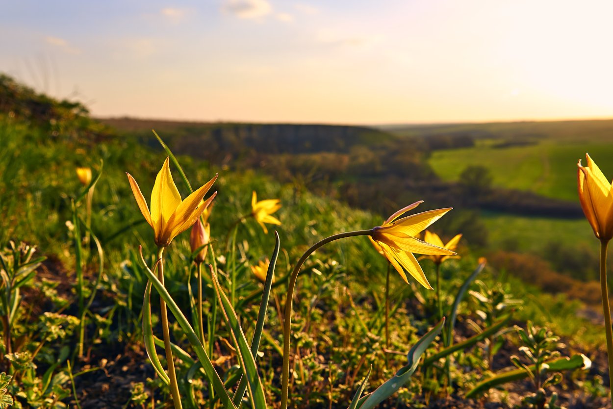 Азовское море Таманский полуостров