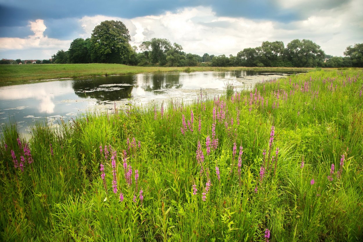 Пойменные Луга Белгородской области