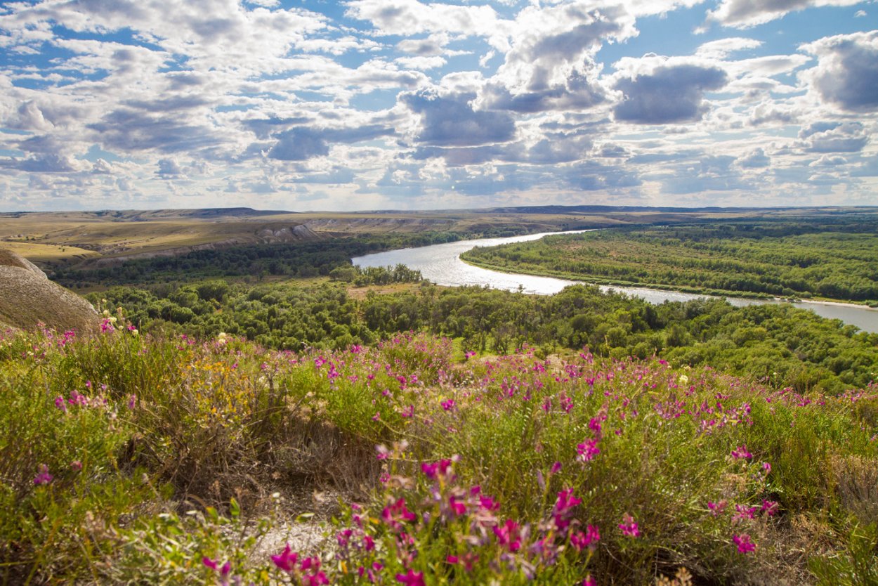 Донской пейзаж Ростовской области