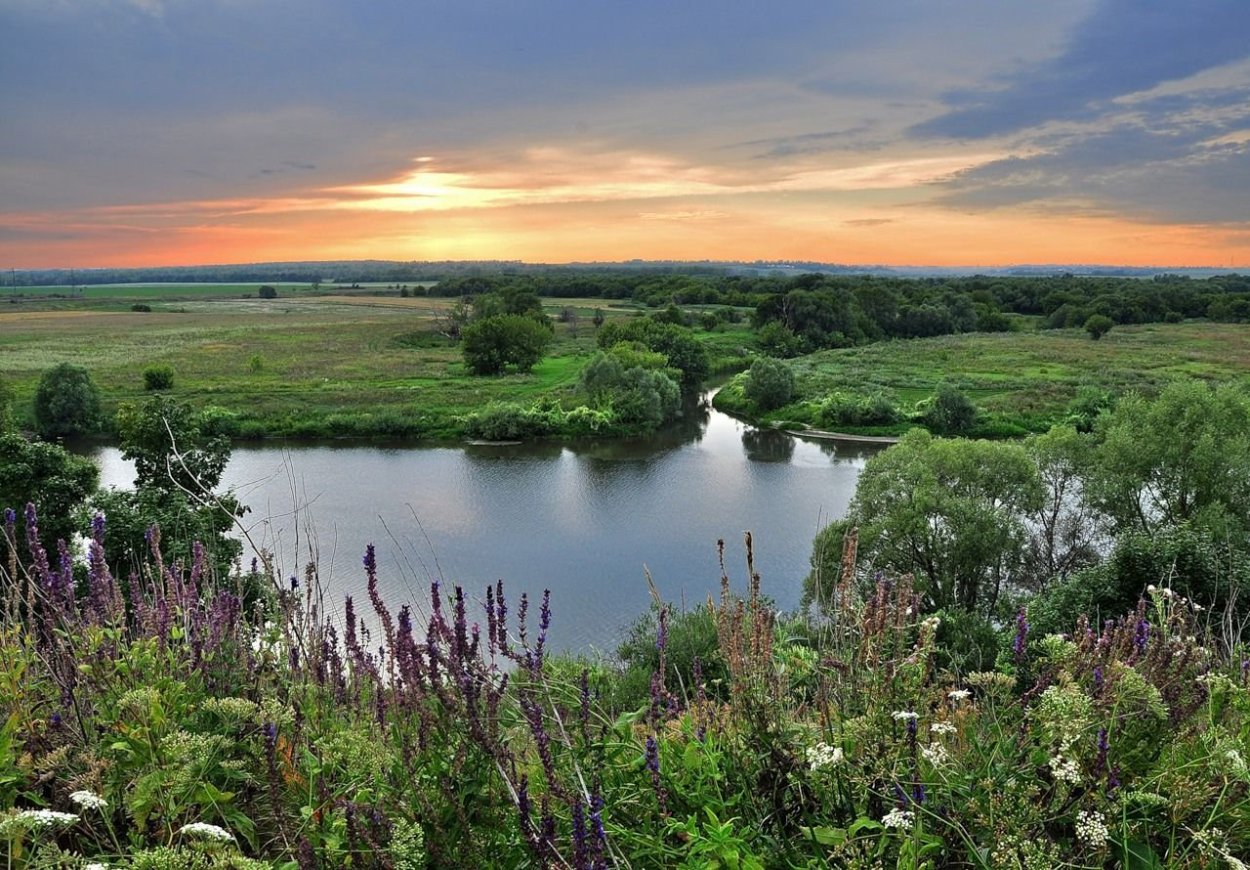Река сосна Липецкая область