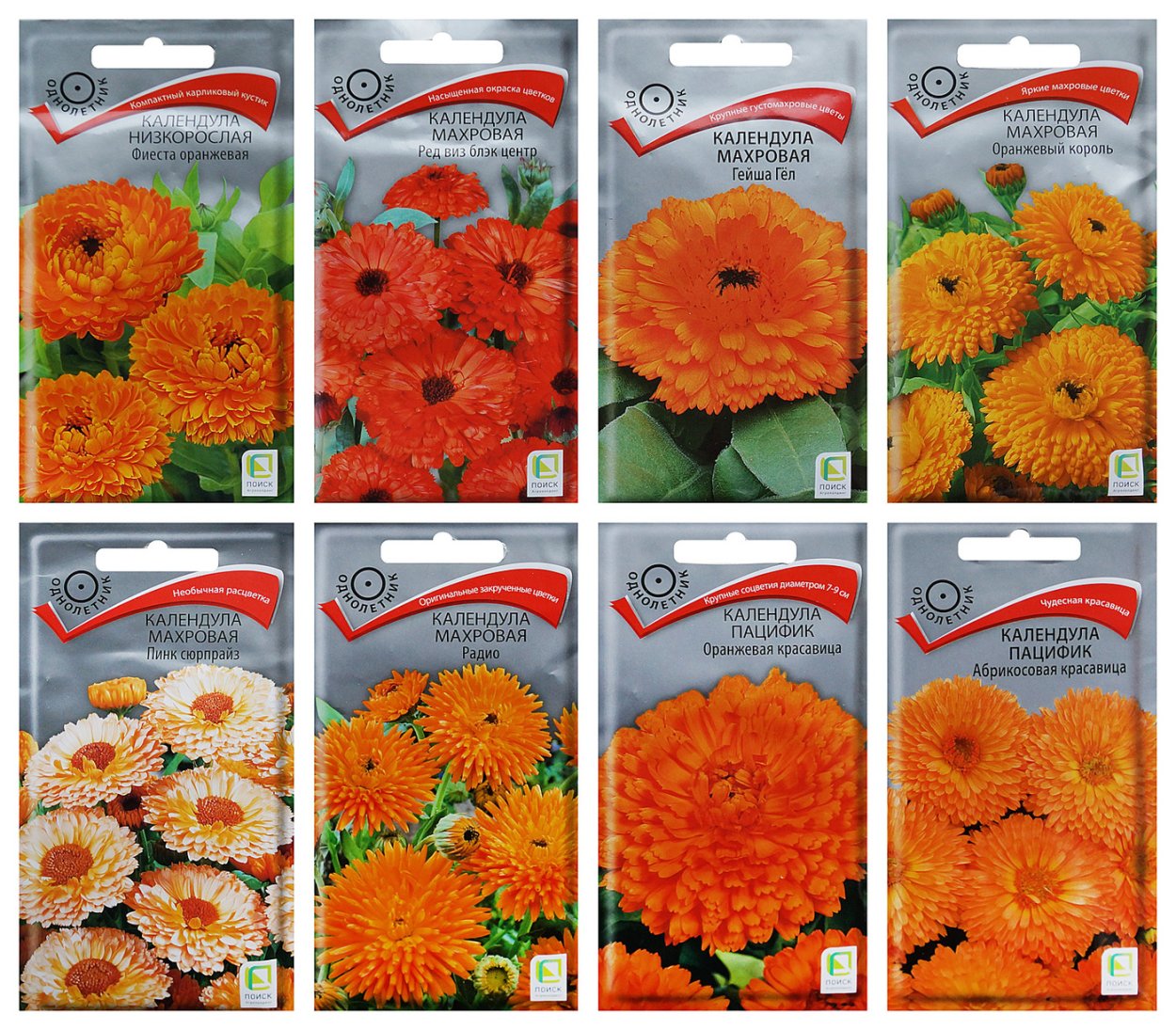 Календула махровая низкорослая семена