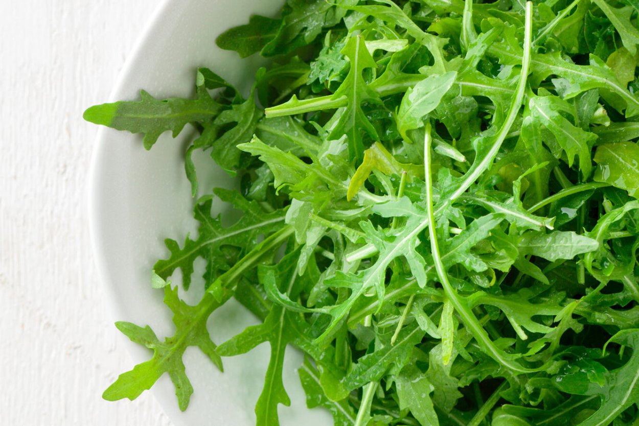 Eruca Sativa руккола