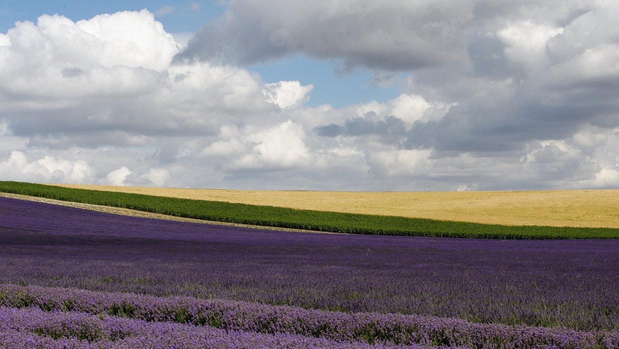 Лефкадия Лавандовые поля