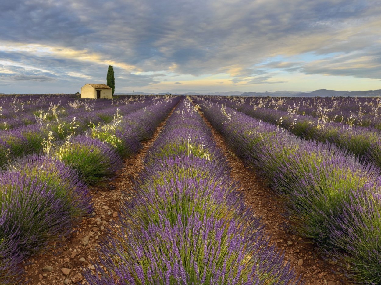 Плато де Валенсоль Франция