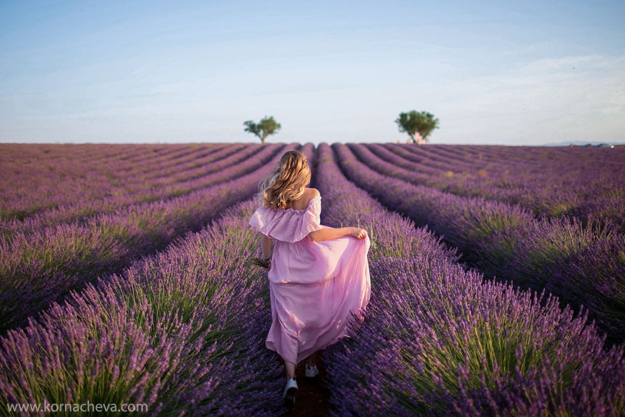 Лаванда Прованс Валенсоль Крым