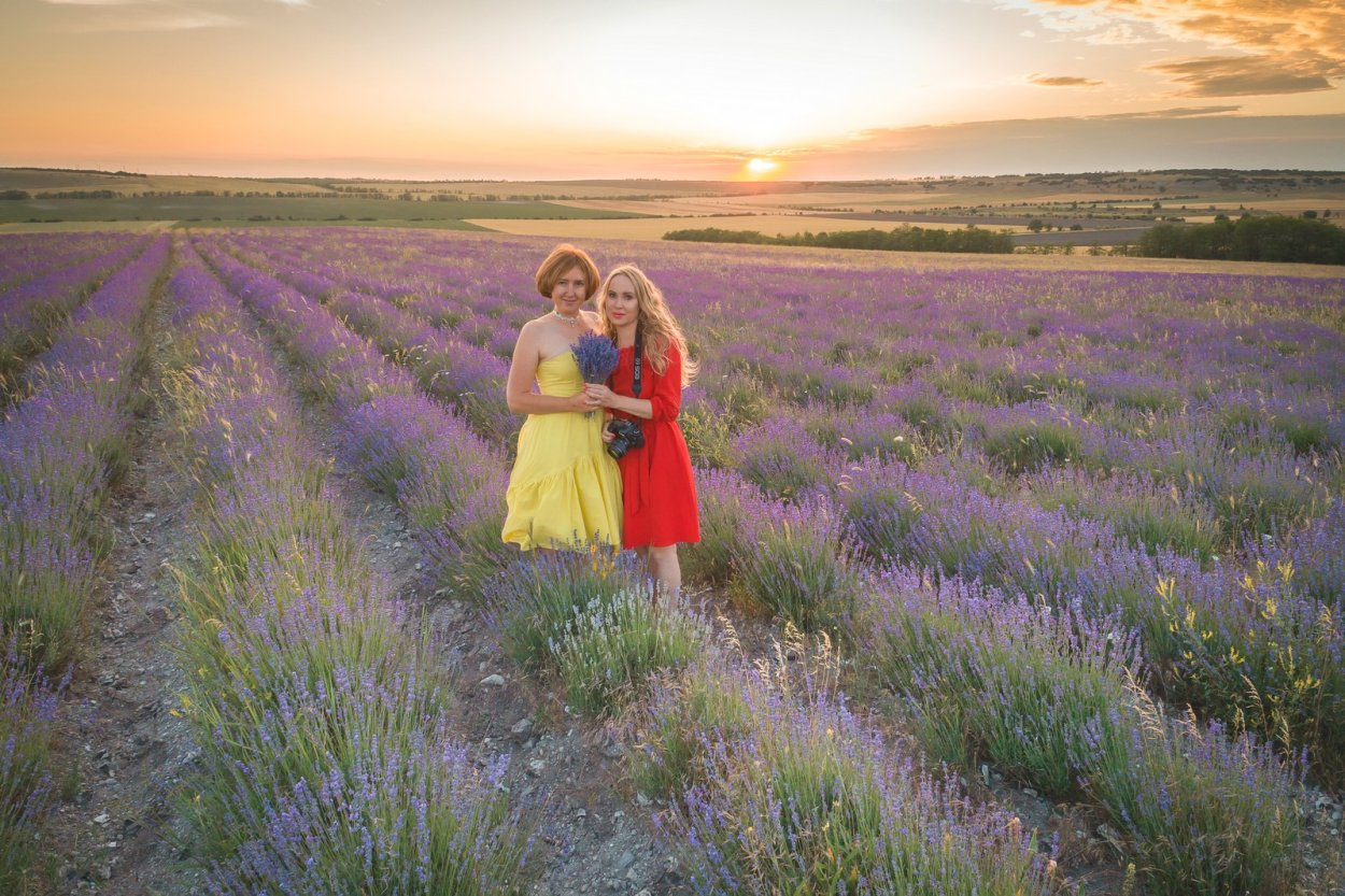 Поселок Тургеневка Крым Лавандовые поля