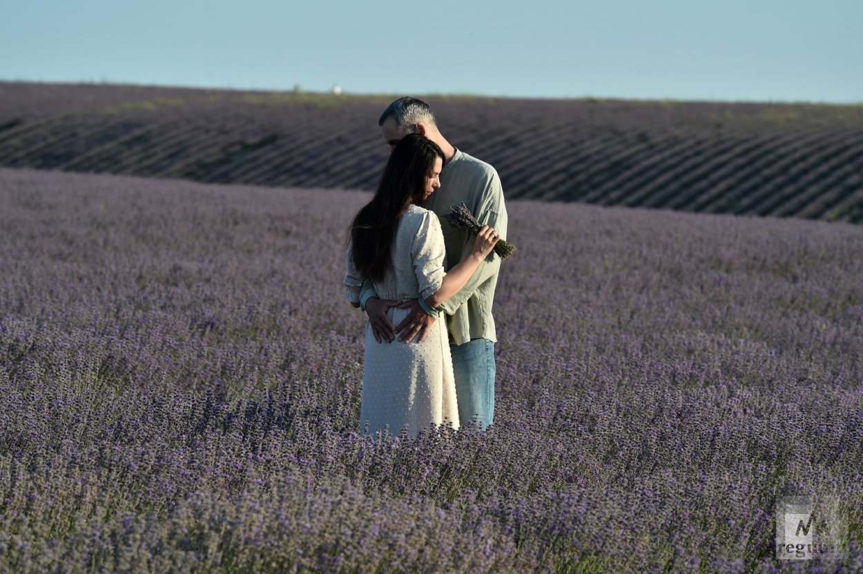 Лавандовые поля Севастополь Тургеневка