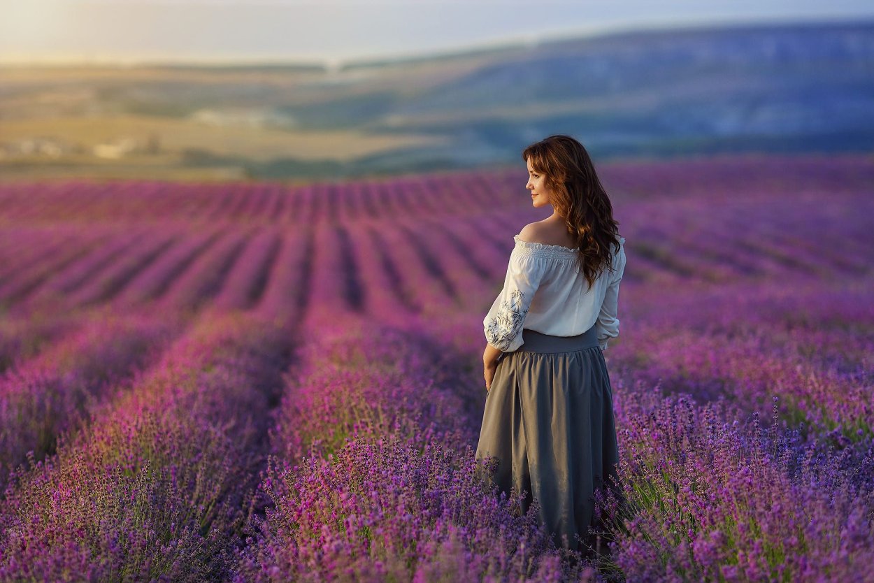 Булавина Лаванда