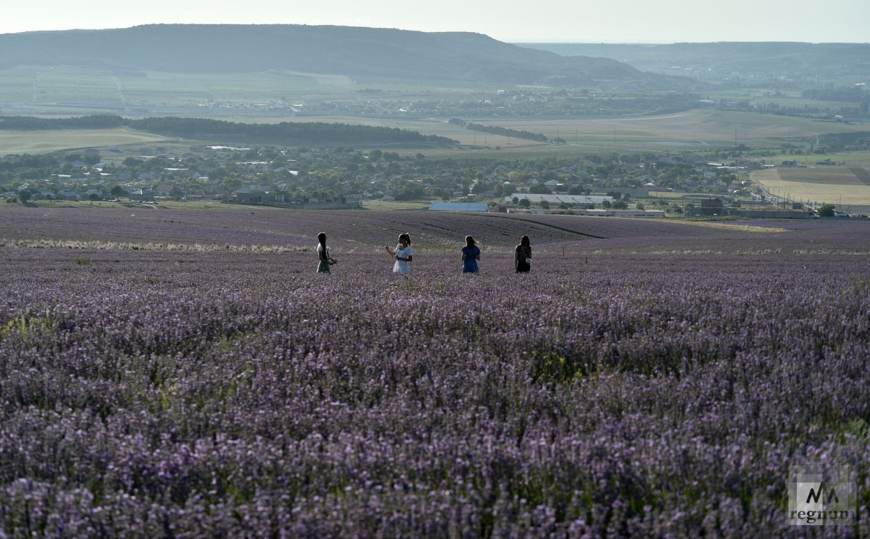 Бахчисарай Тургеневка Лавандовое поле