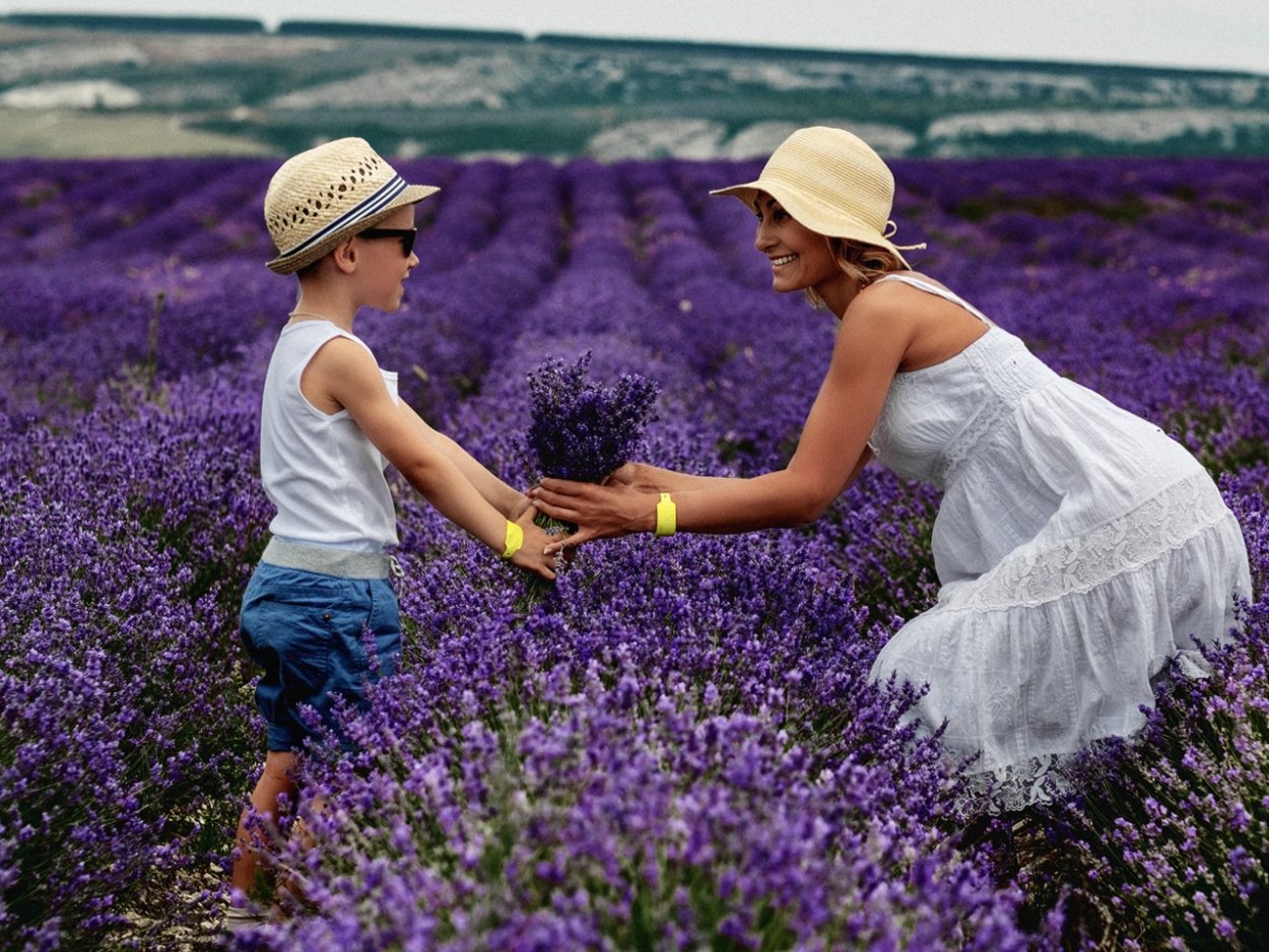 Крымский Прованс Лавандовые поля