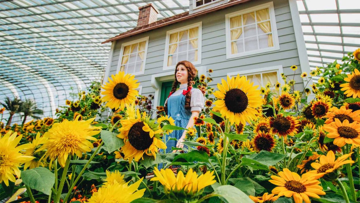 Бабенко Руслан в Таганроге