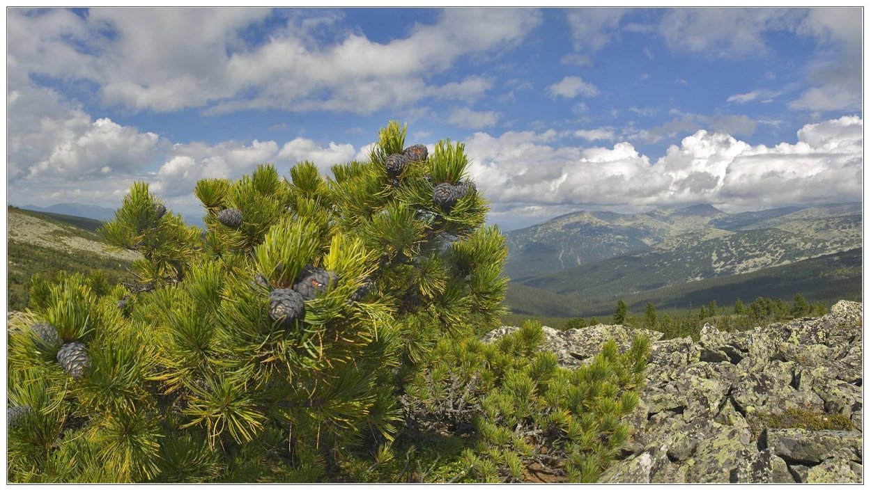 Заповедник Подлеморье Байкал