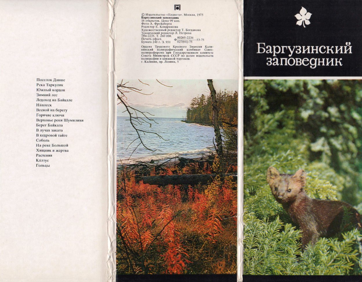 Лотос орехоносный Каспийский