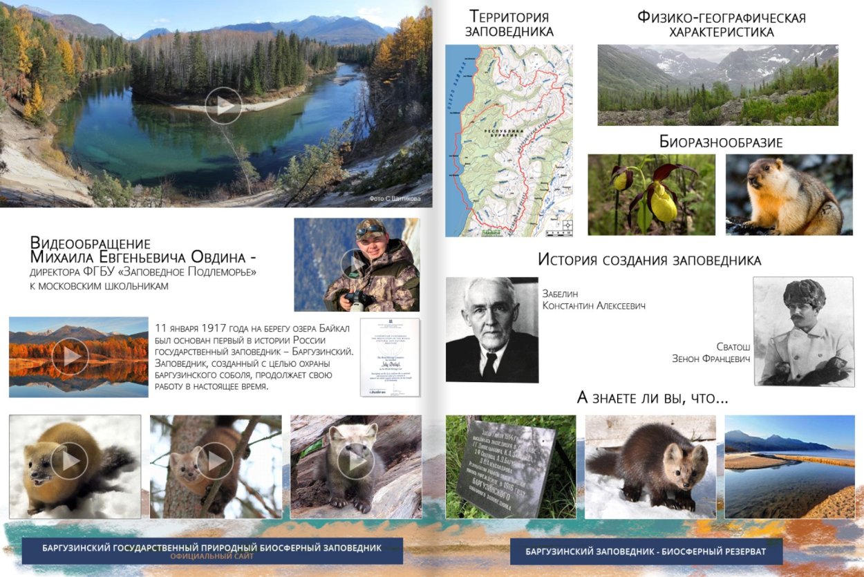 Инфографика Баргузинский заповедник