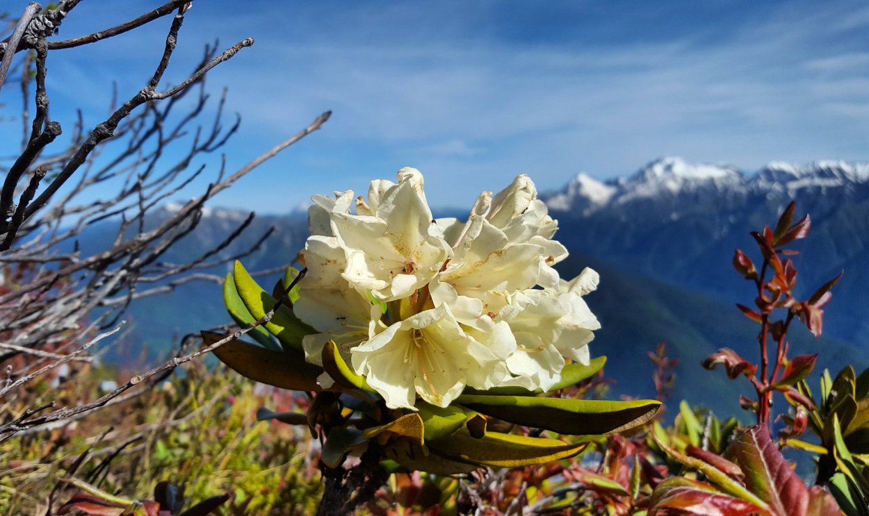 Максимиха Байкал