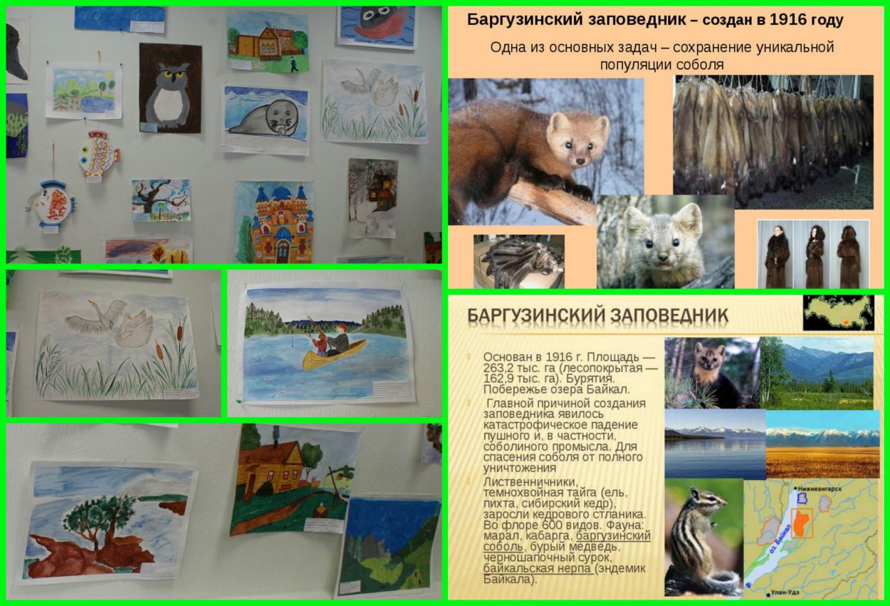 Озеро Байкал цветет саранка