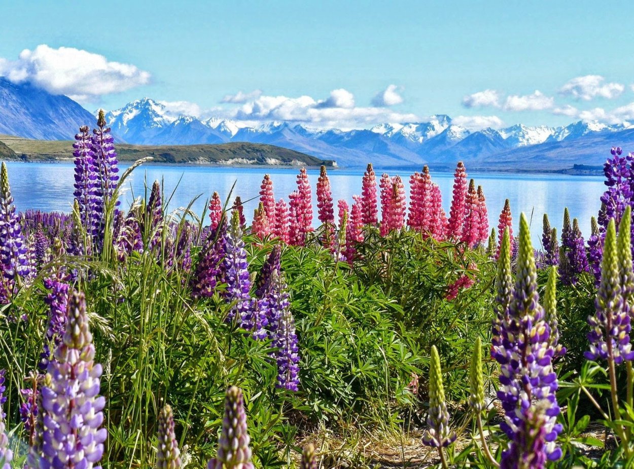 100 Лет Баргузинский заповедник