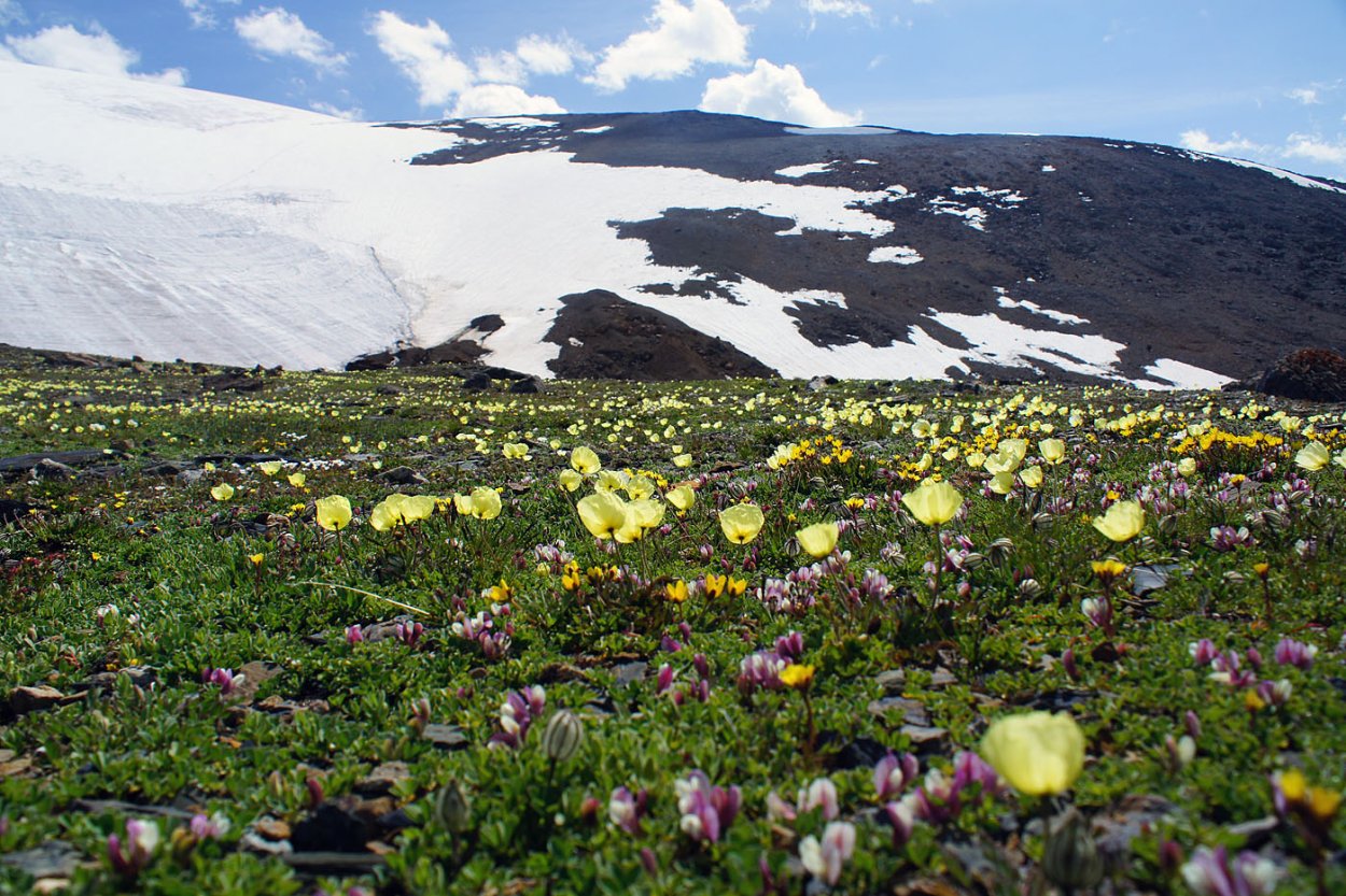 Заповедники и заказники