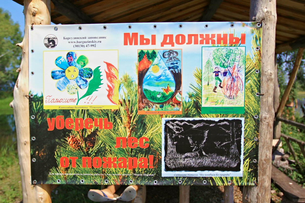 Байкальский заповедник растения