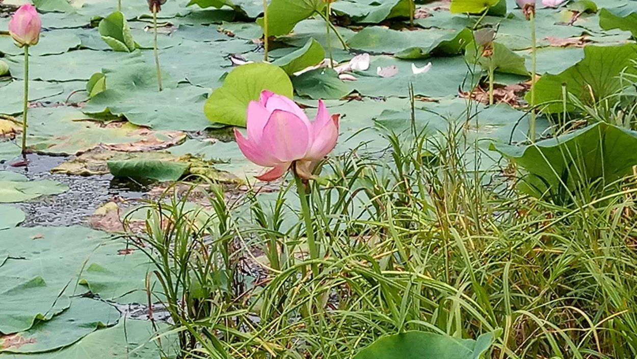 Ленский заповедник Иркутская область
