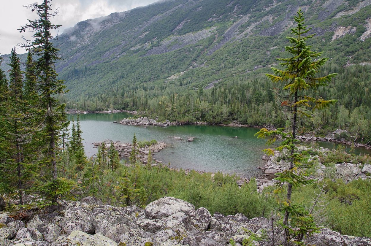 Баргузинский заповедник эмблема