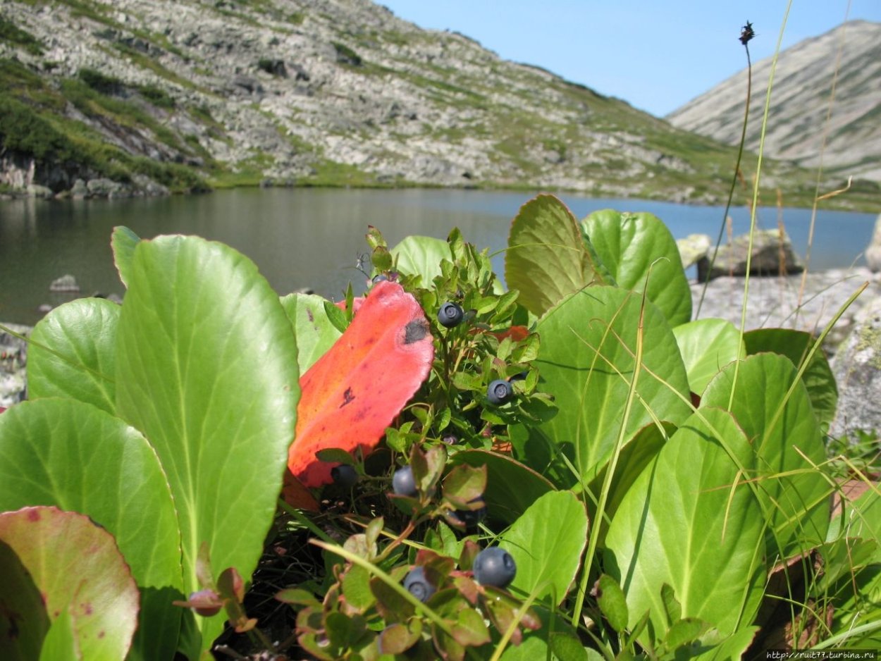 Баргузинский биосферный заповедник