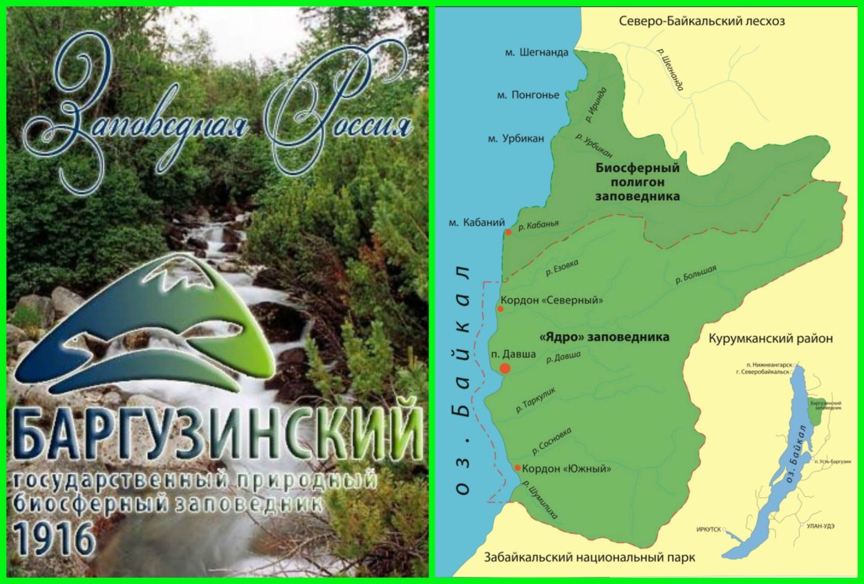 Хариусовые озера Баргузинский заповедник