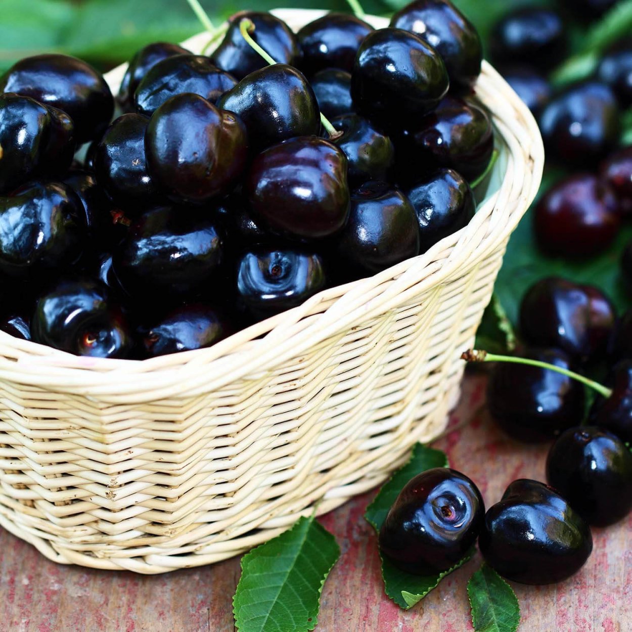 Черешня крупноплодная черная