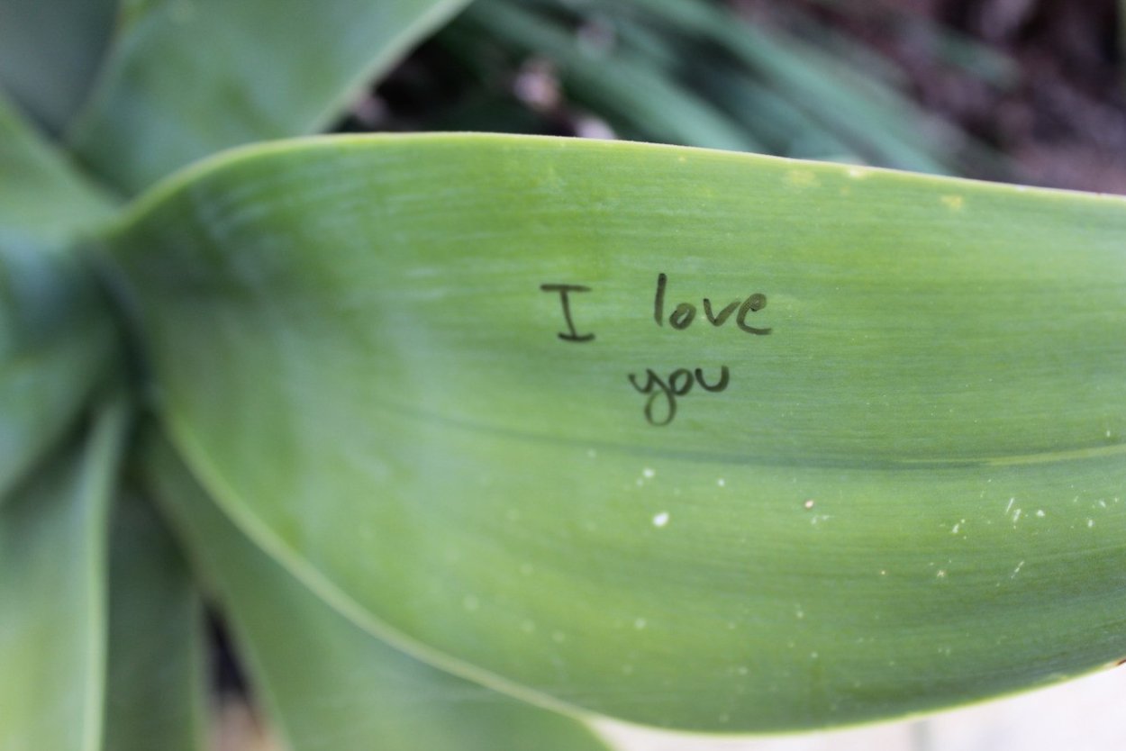 Веселый мужик с цветами