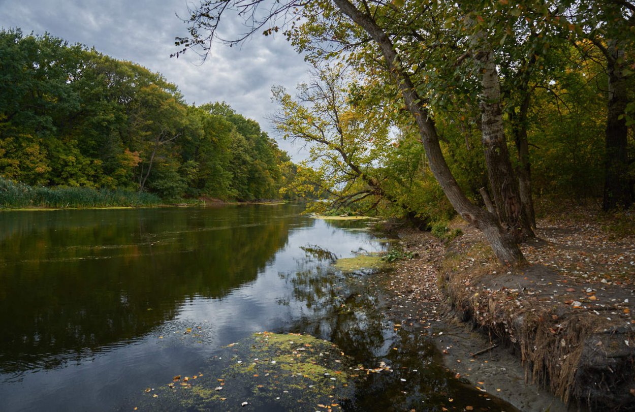 Река Северский Донец осень
