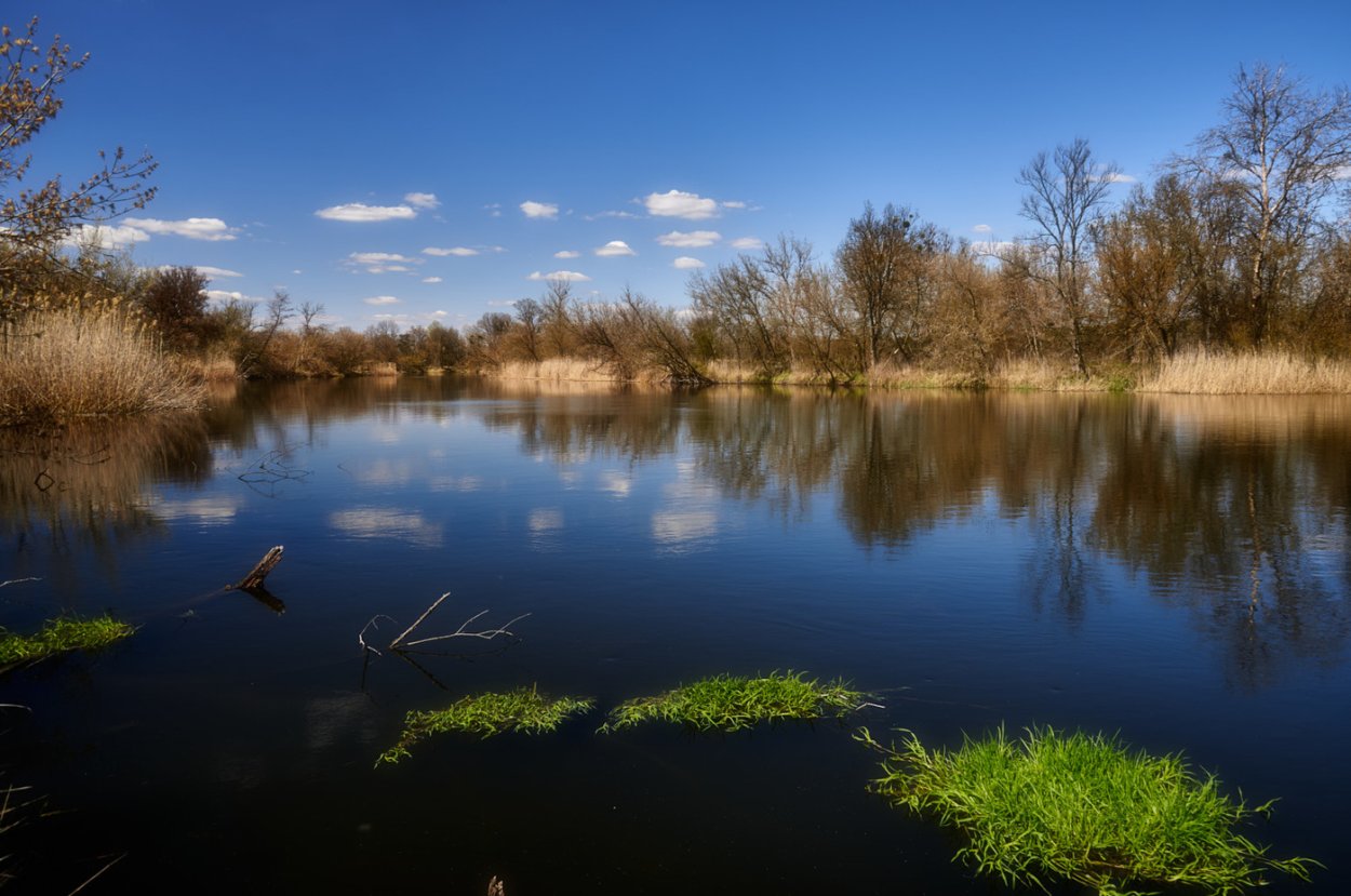 Северский Донец река