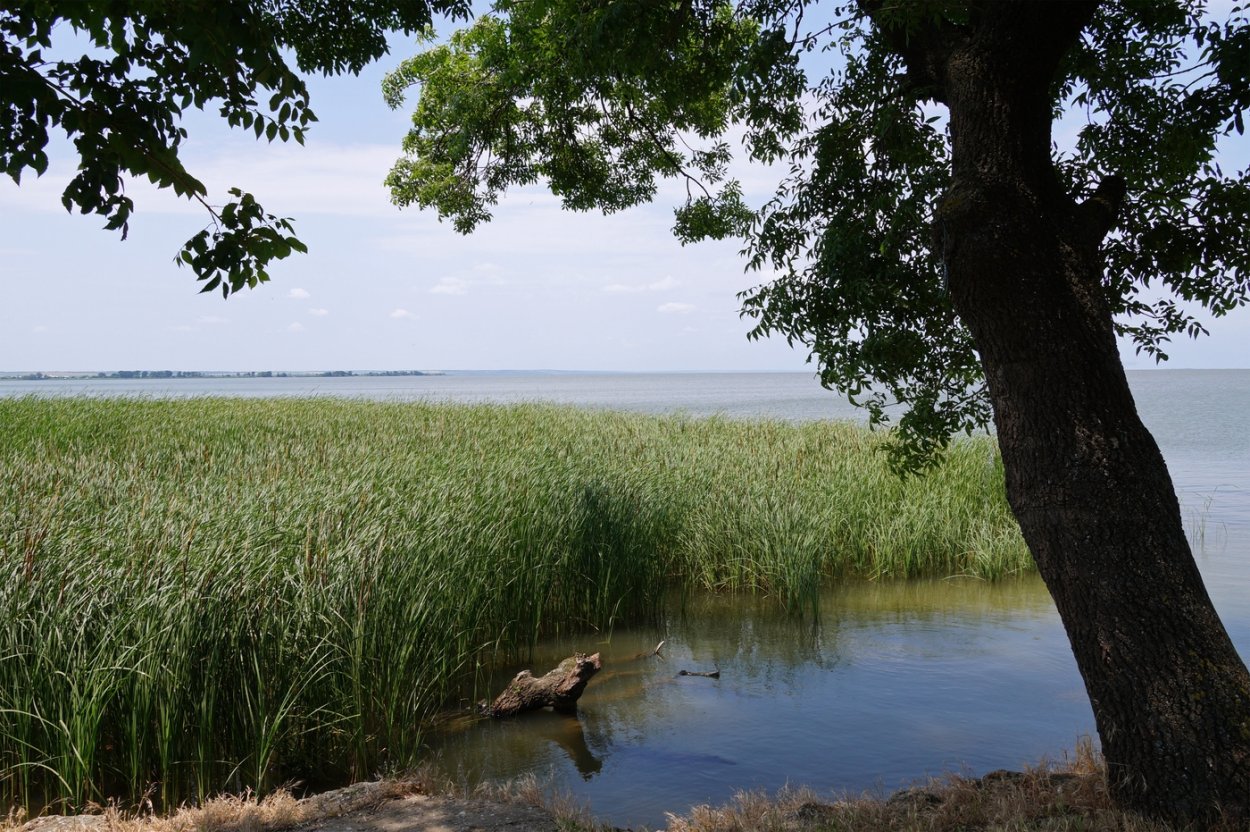 Река Северский Донец в Луганской области