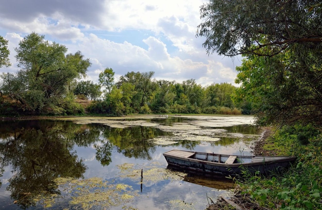 Река Северский Донец в Луганской области