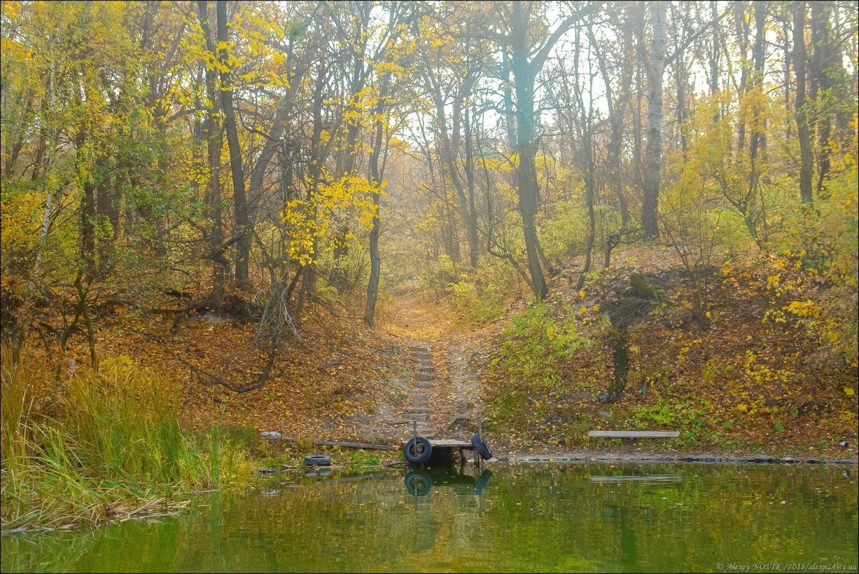 Река Северский Донец осень