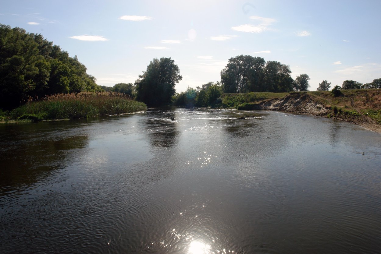 Растения и животные реки Уссури