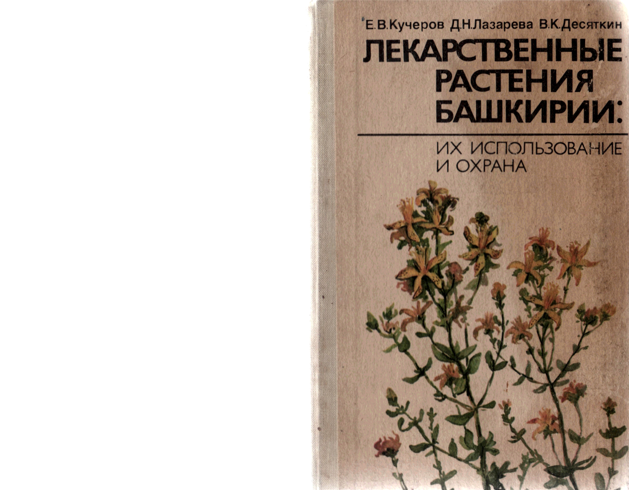 Лекарственные растения на башкирском