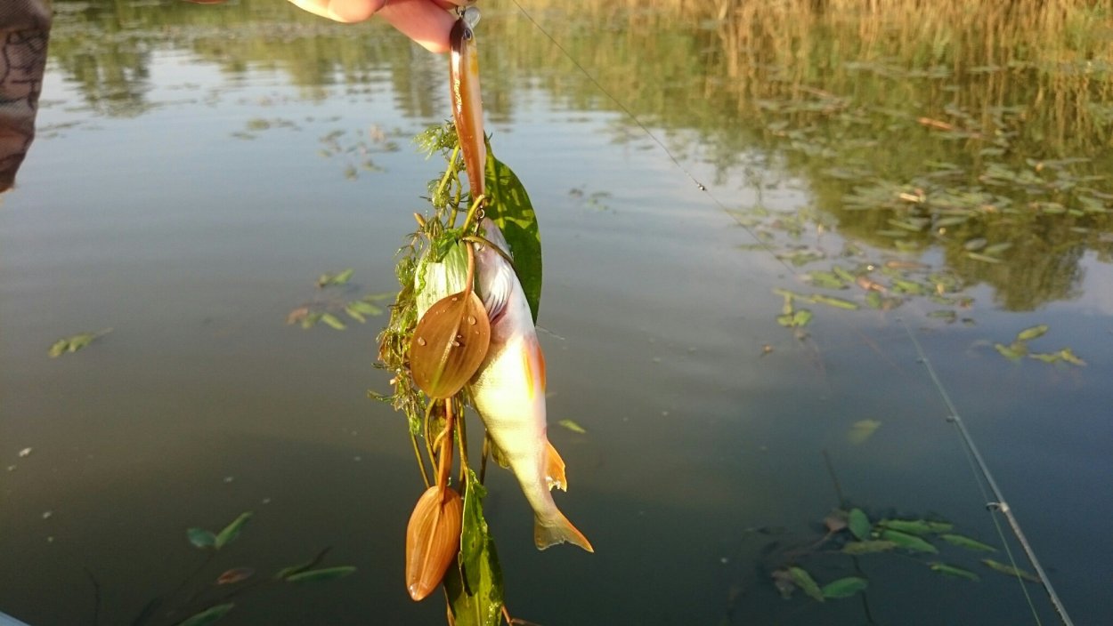 Цимлянск Тихая заводь