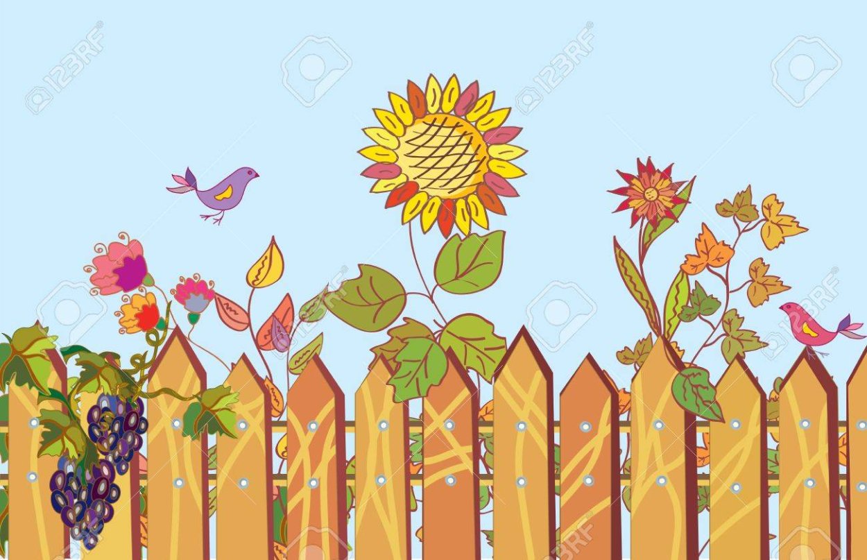 Плетень из подсолнухов