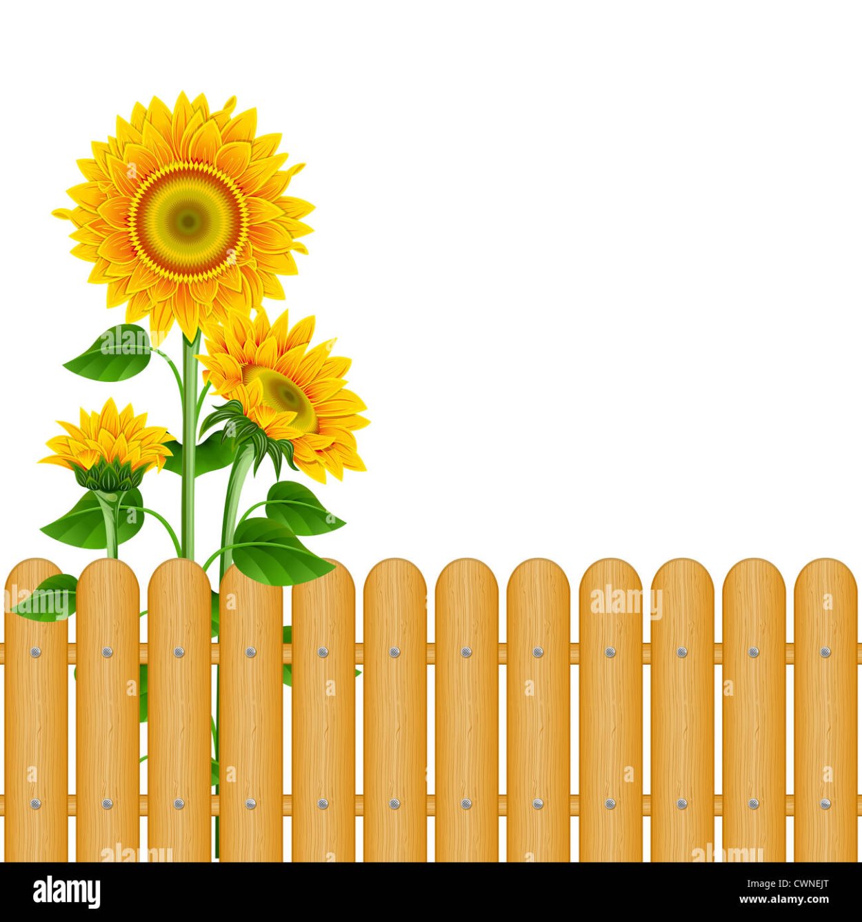 Забор мультяшный