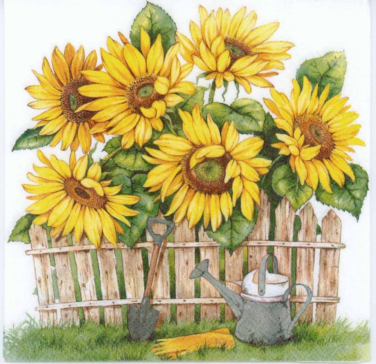 Плетень и Подсолнухи для детей