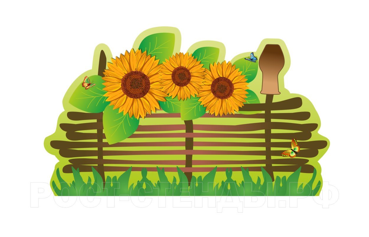Плетень с подсолнухами