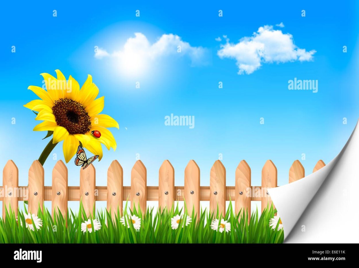 Пейзаж с подсолнухами